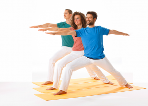 sanfte Mittelstufe - offene Stunde @ Yoga Vidya Kassel | Kassel | Niedersachsen | Deutschland
